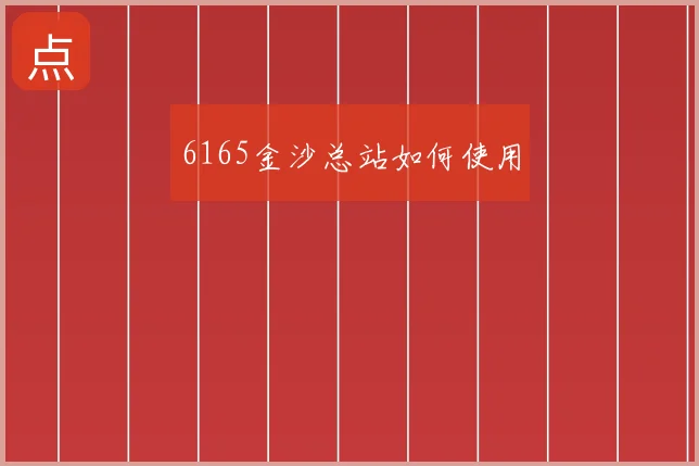 6165金沙总站如何使用